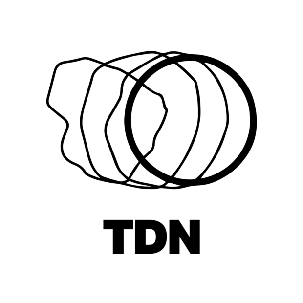 Logo TDN