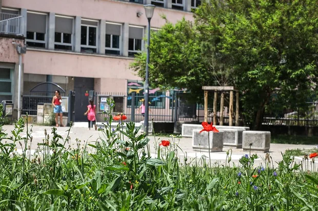 Photo des installations de piétonisation devant l'école Léon Jouhaux.