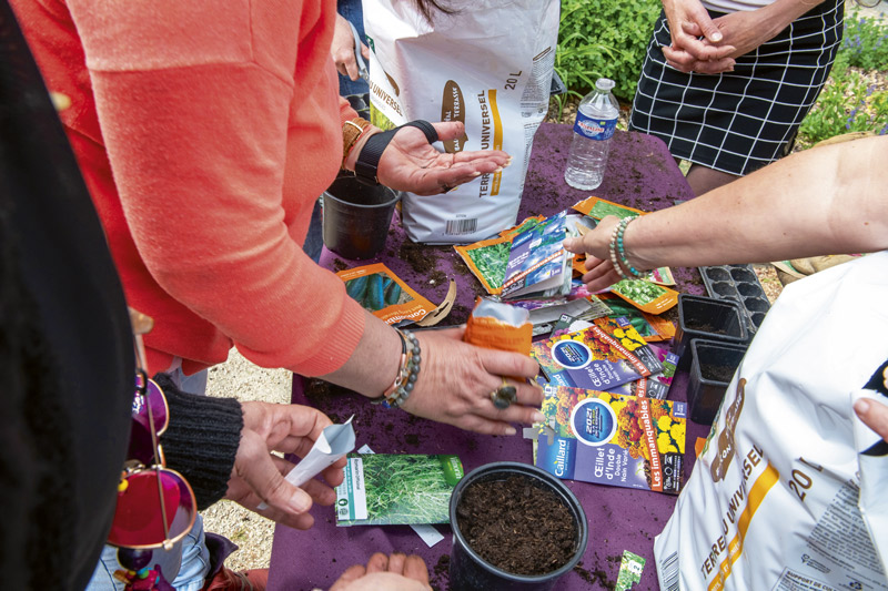 Des personnes participent à un atelier de plantation de graines.