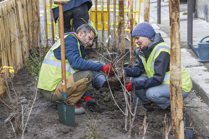 Deux habitants plantent un arbre.