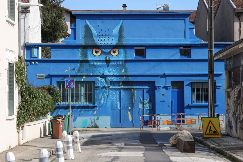 Un hibou grand duc est représenté en peinture sur une façade.