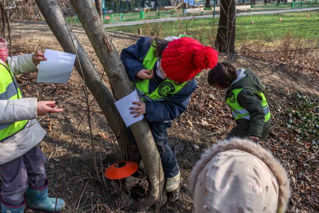 Des enfants travaillent autour d'un arbre.