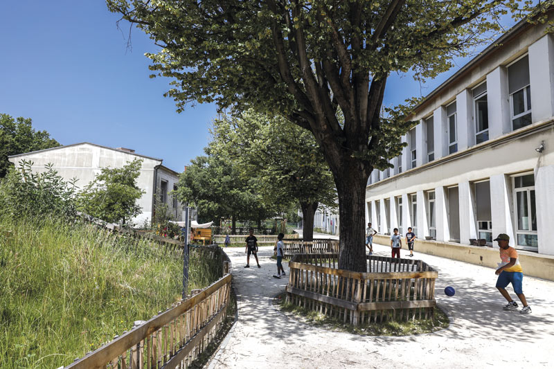 Des enfants jouent dans une cour végétalisée.