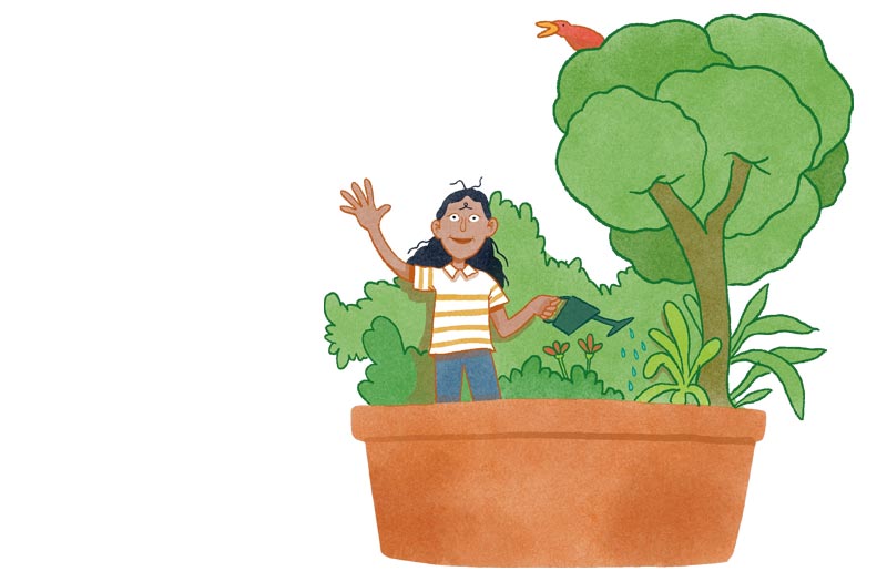 Illustration.