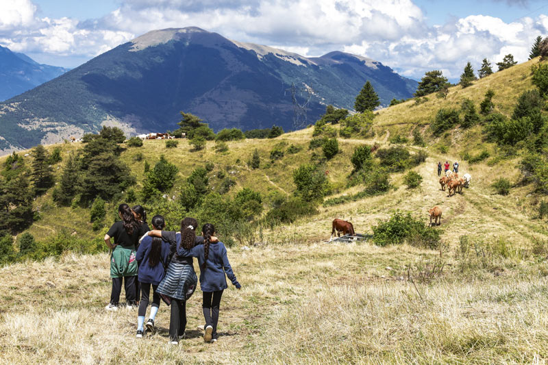 Des jeunes filles marchent dans un pâturage d'altitude avec des vaches.