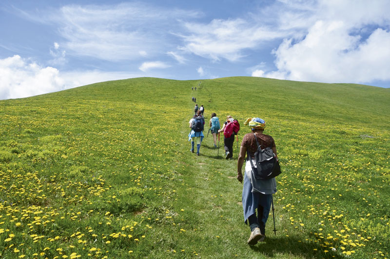 Un groupe de femmes randonne dans une prairie de montagne.
