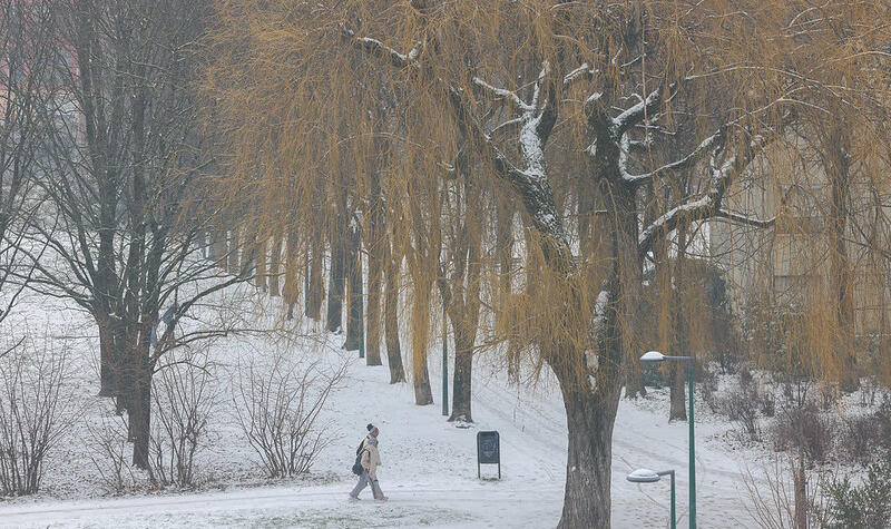 Une personne marche dans la neige.