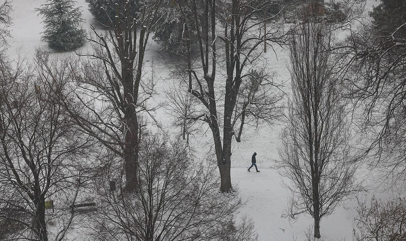 Une personne marche dans la neige au milieu des arbres.