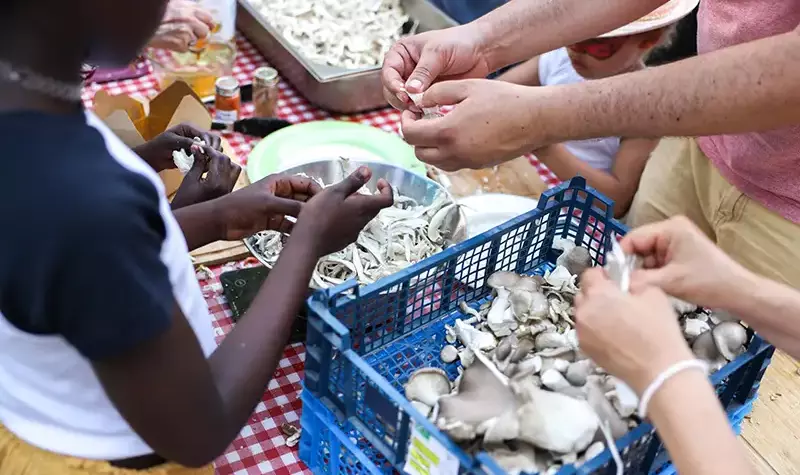 Les participants épluchent des champignons.