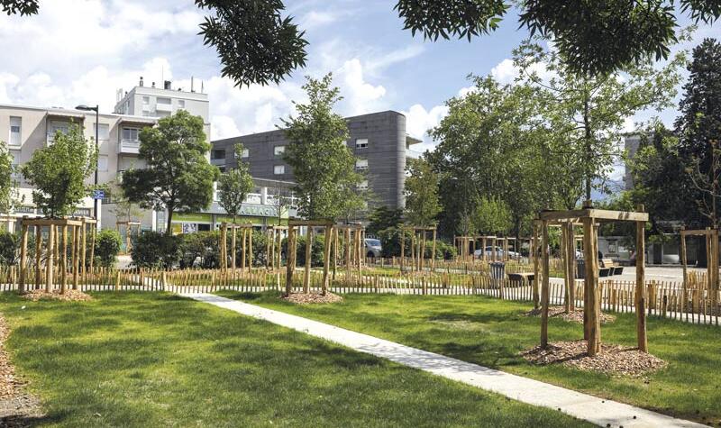 De la pelouse et des arbres, à la place de l'ancienne dalle.
