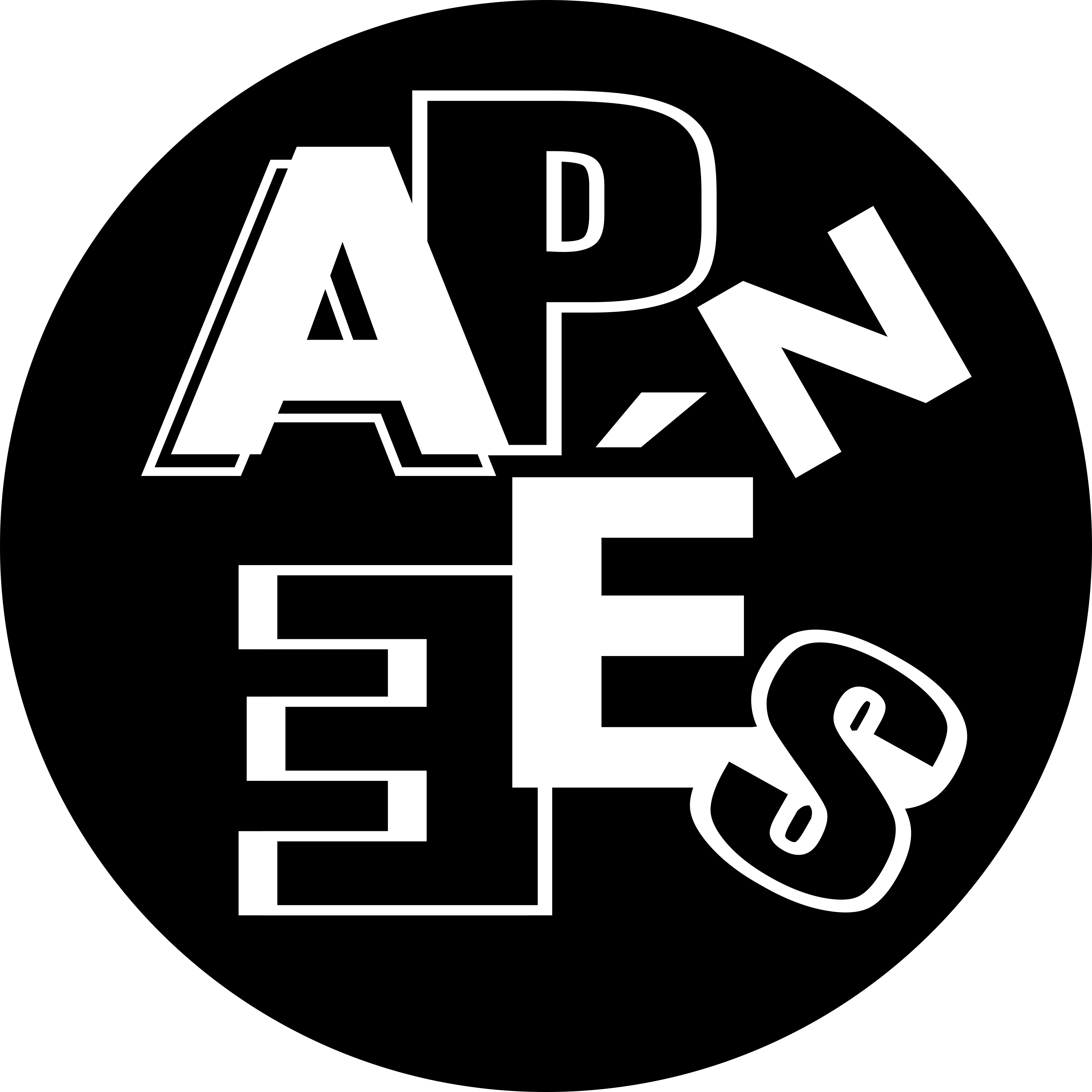 ASSOCIATION POUR LA PERFORMANCE, L'ÉLECTROACOUSTIQUE ET LES EXPÉRIMENTATIONS SONORES