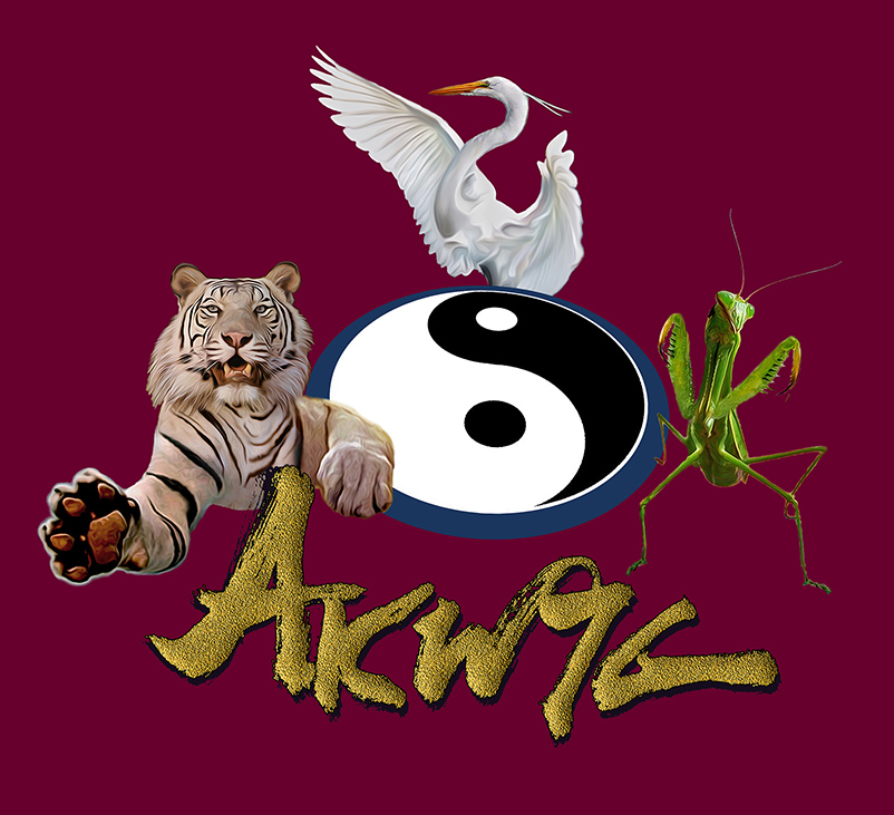 ACADÉMIE KUNG FU WUSHU ET TAICHI CHUAN DE GRENOBLE