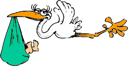 LES CIGOGNES