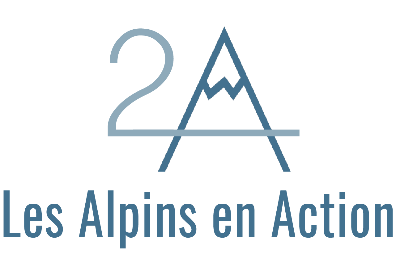 LES ALPINS EN ACTION