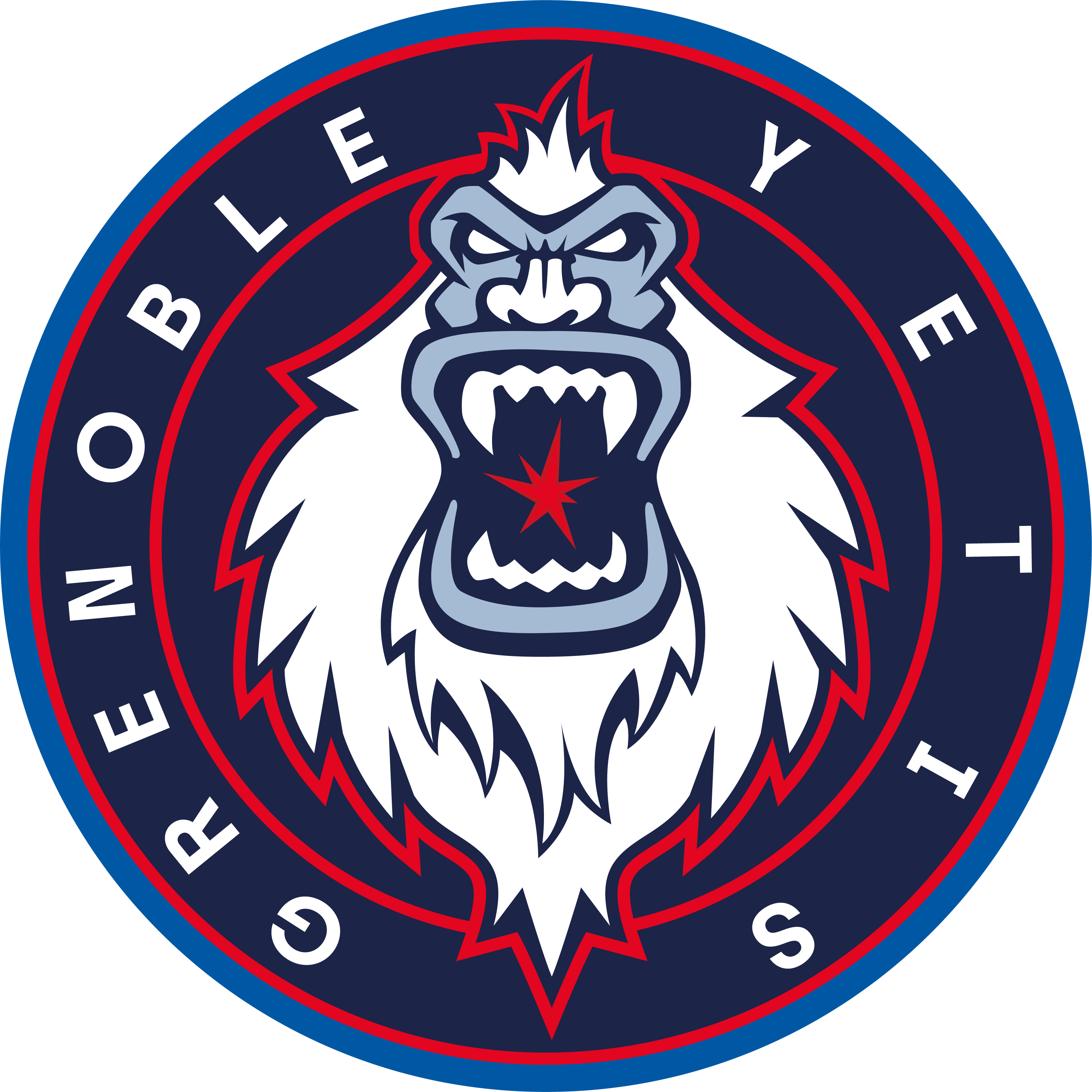 YETI'S GRENOBLE ROLLER HOCKEY