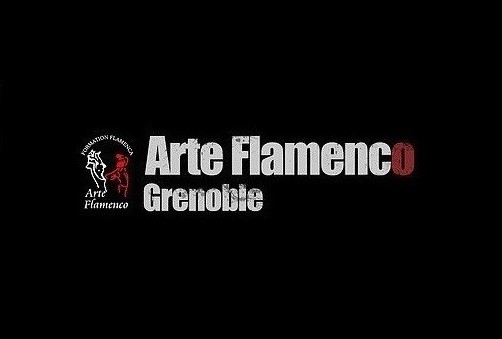 ARTE FLAMENCO