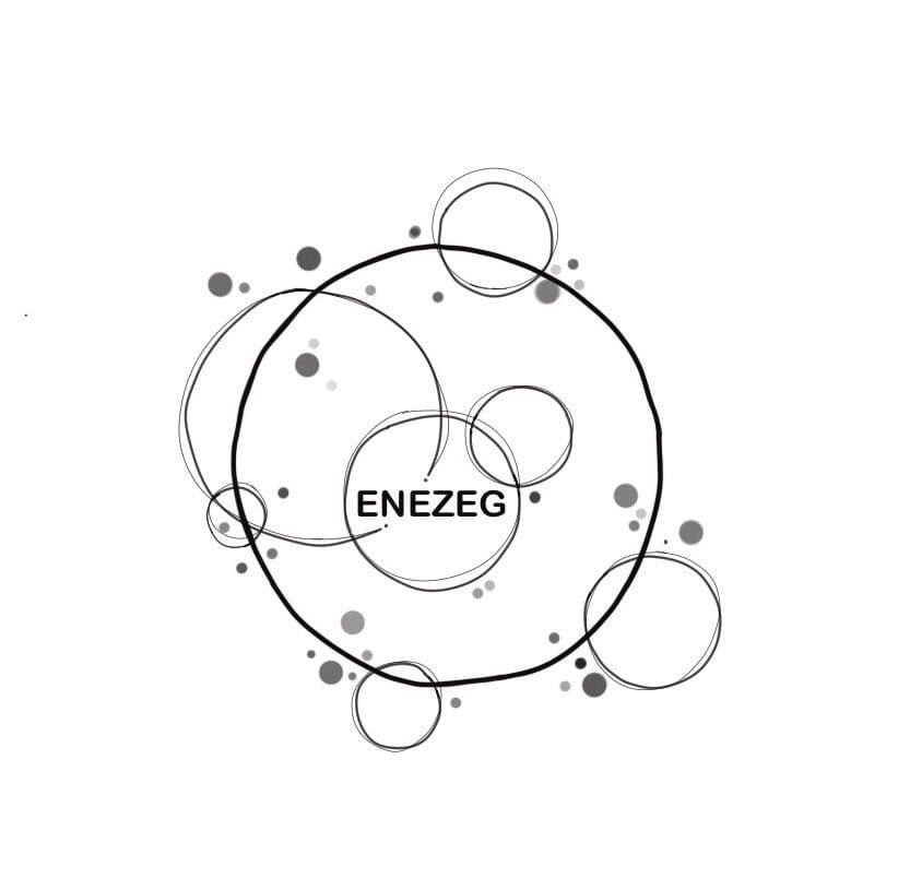COMPAGNIE ENEZEG