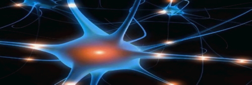 NEUROCERCLE