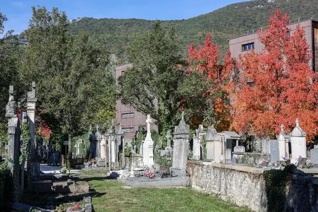 Photo d'une allée du cimetière.