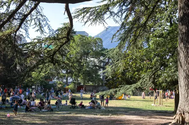 Photo de personnes pique-niquant sous les arbres.