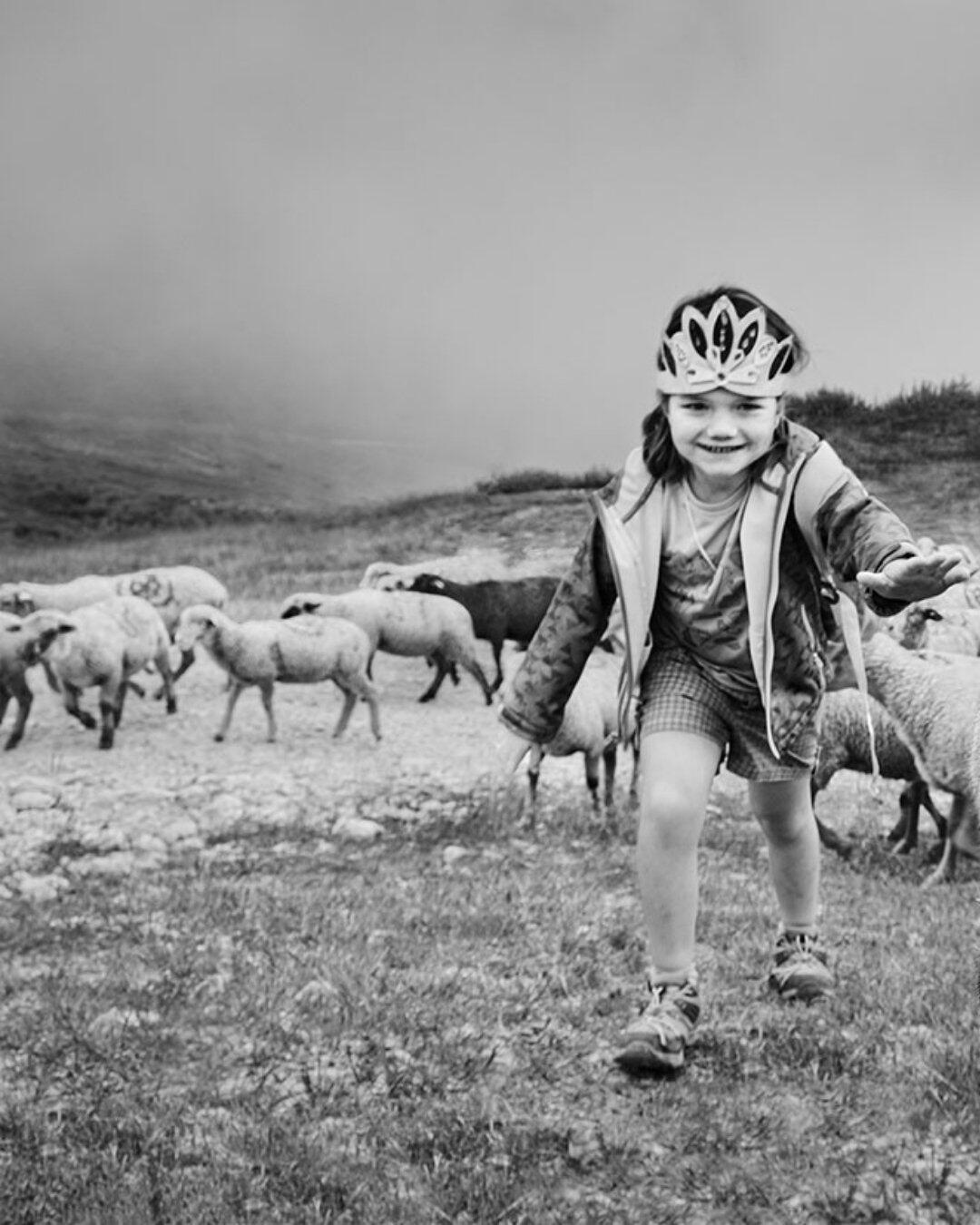 Photo extraite de l'expo pastoralisme