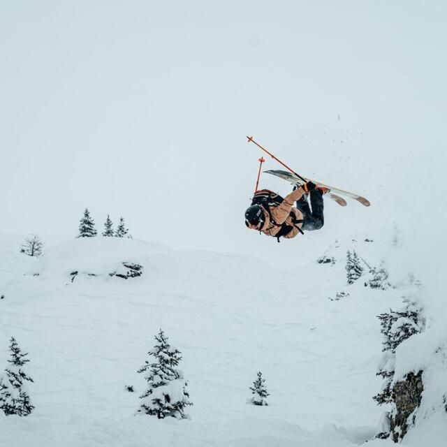 Skieur