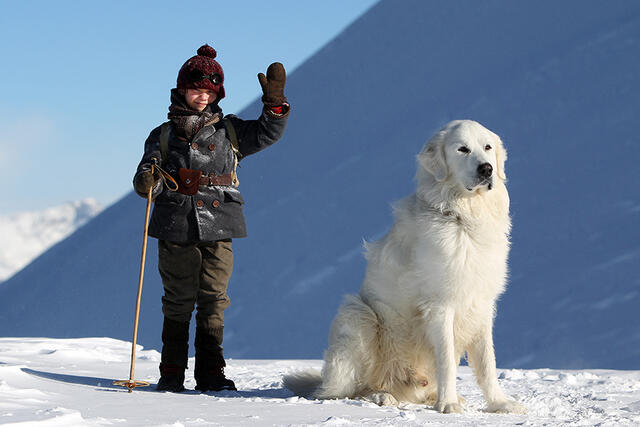 Un garçon, Sébastien, et un patou blanc, Belle