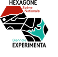 Logo de la biennale Experimenta